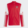 adidas Squadra25 Jacket